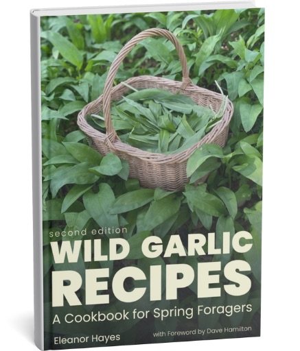 Wild garlic branding - 2